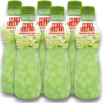 Nata Floats Muskmelon